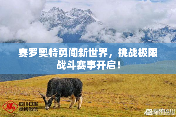 赛罗奥特勇闯新世界，挑战极限战斗赛事开启！