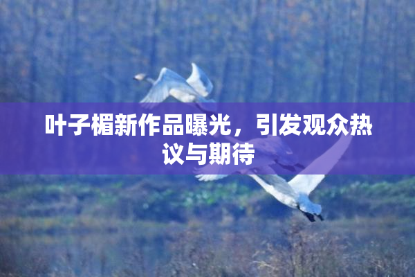 叶子楣新作品曝光，引发观众热议与期待