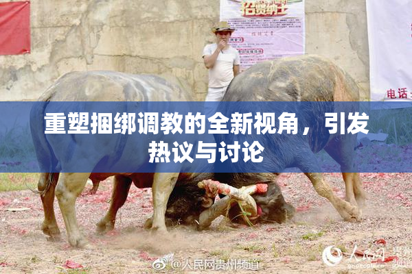 重塑捆绑调教的全新视角，引发热议与讨论