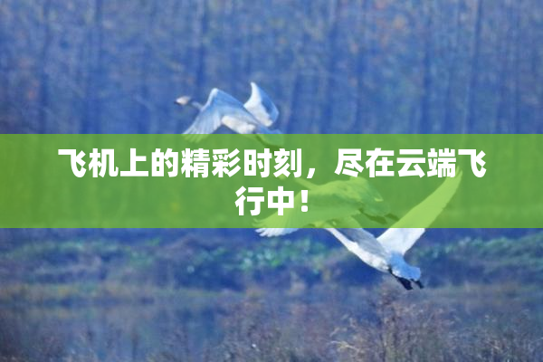 飞机上的精彩时刻，尽在云端飞行中！