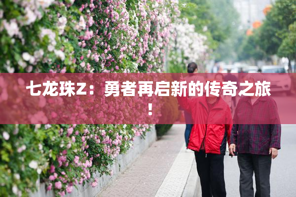 七龙珠Z：勇者再启新的传奇之旅！