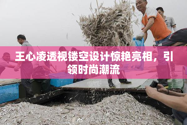 王心凌透视镂空设计惊艳亮相，引领时尚潮流