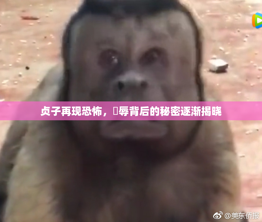 贞子再现恐怖，婬辱背后的秘密逐渐揭晓