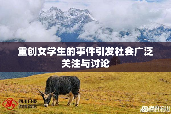 重创女学生的事件引发社会广泛关注与讨论