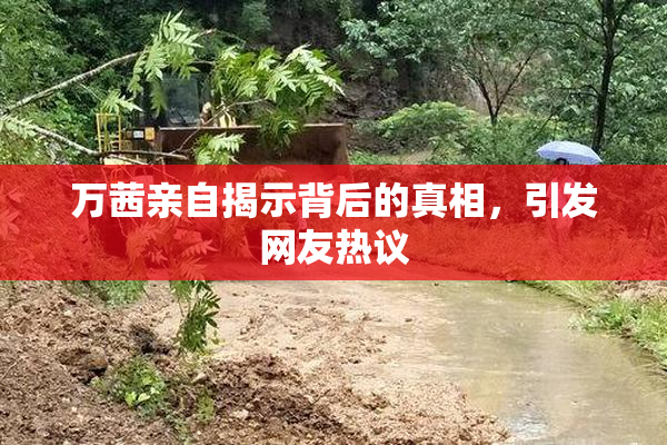 万茜亲自揭示背后的真相，引发网友热议