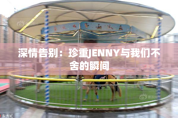 深情告别：珍重JENNY与我们不舍的瞬间