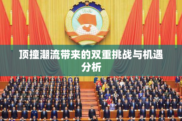 顶撞潮流带来的双重挑战与机遇分析