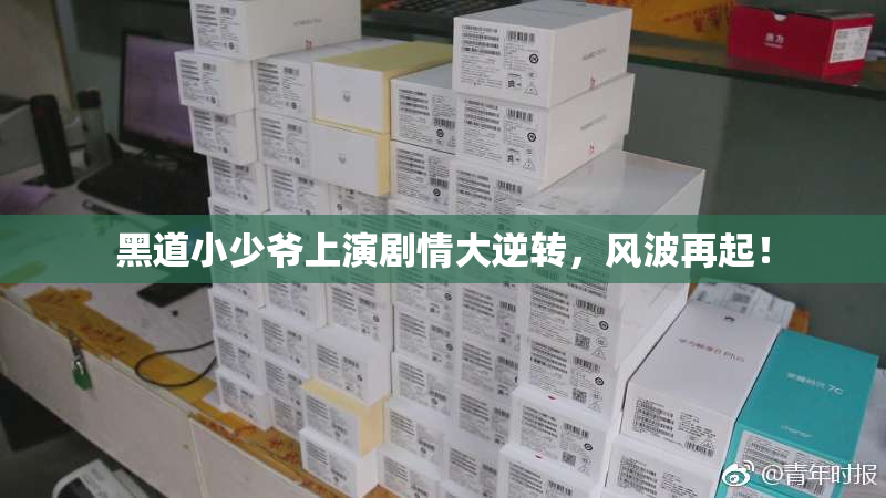 黑道小少爷上演剧情大逆转，风波再起！