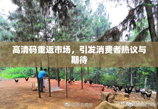 高清码重返市场，引发消费者热议与期待