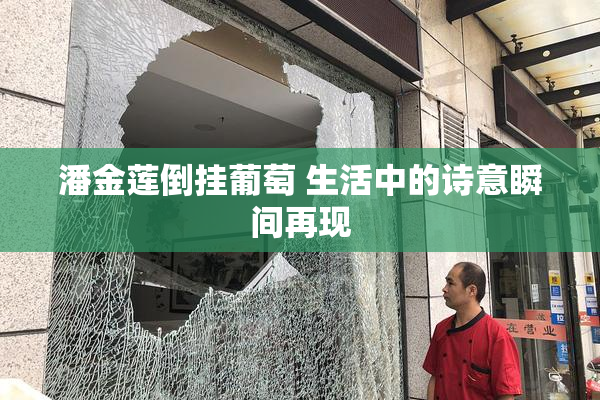 潘金莲倒挂葡萄 生活中的诗意瞬间再现