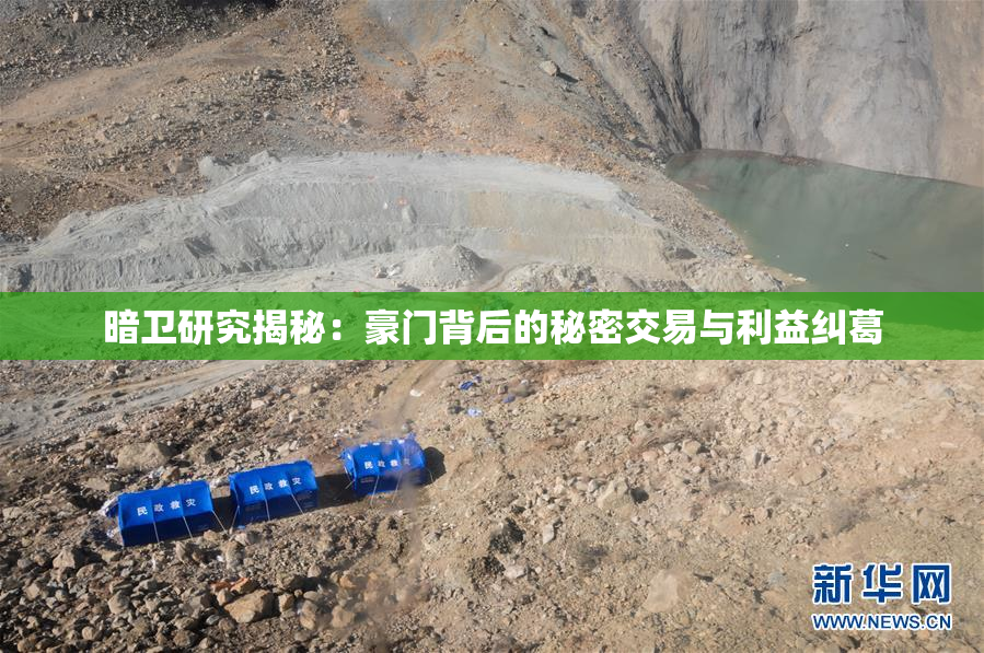 暗卫研究揭秘：豪门背后的秘密交易与利益纠葛