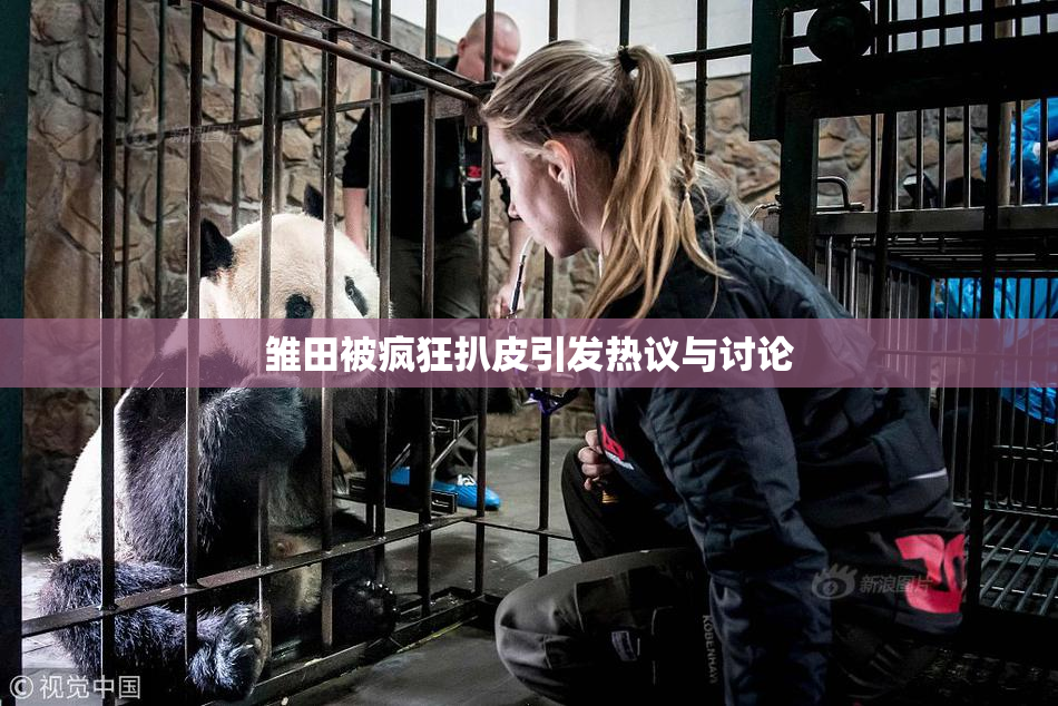 雏田被疯狂扒皮引发热议与讨论