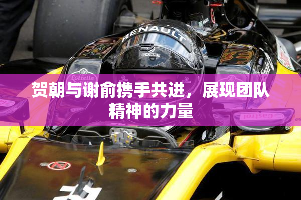 贺朝与谢俞携手共进，展现团队精神的力量