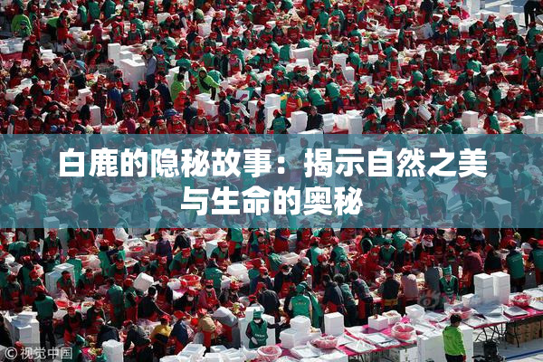 白鹿的隐秘故事：揭示自然之美与生命的奥秘