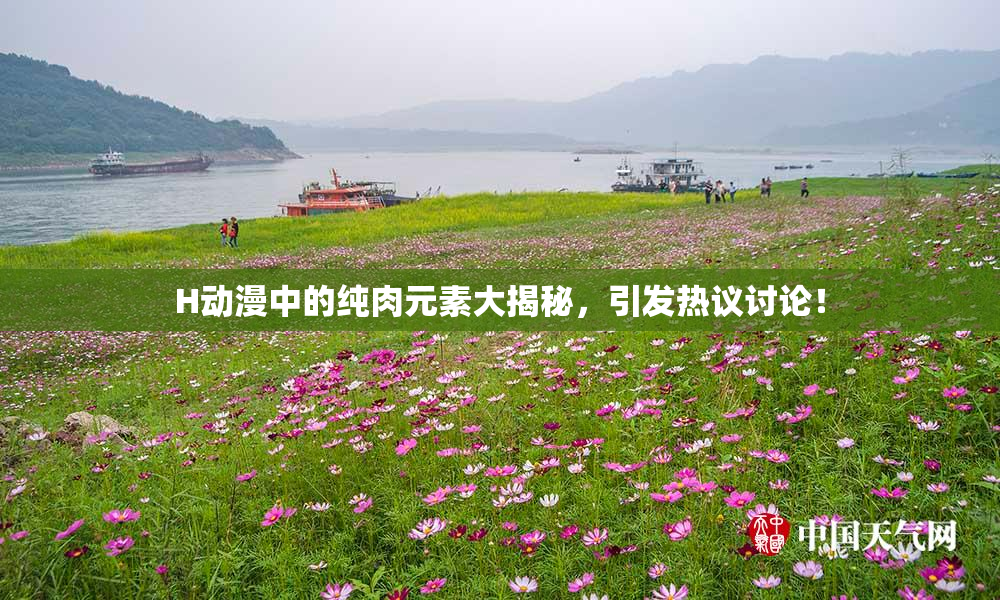 H动漫中的纯肉元素大揭秘，引发热议讨论！