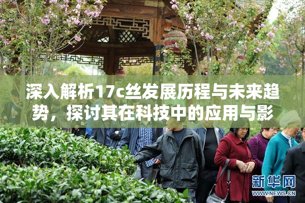 深入解析17c丝发展历程与未来趋势，探讨其在科技中的应用与影响。