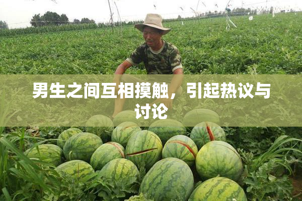 男生之间互相摸触，引起热议与讨论