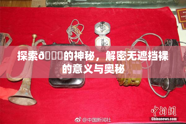 探索🔞的神秘，解密无遮挡裸的意义与奥秘