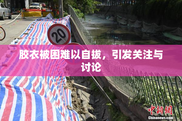 胶衣被困难以自拔，引发关注与讨论