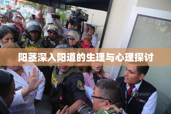 阳茎深入阳道的生理与心理探讨