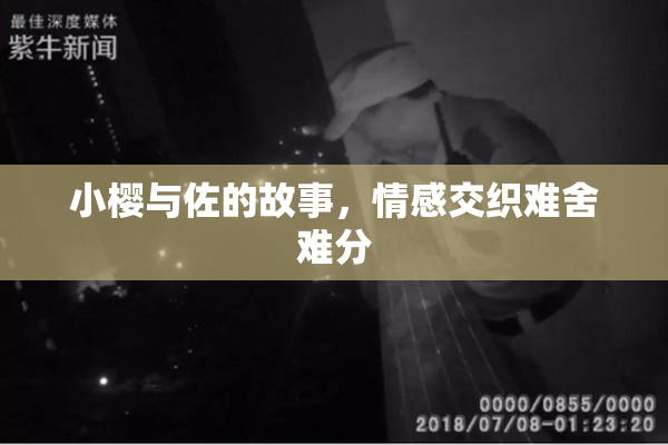 小樱与佐的故事，情感交织难舍难分
