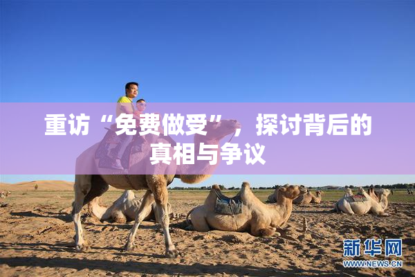 重访“免费做受”，探讨背后的真相与争议