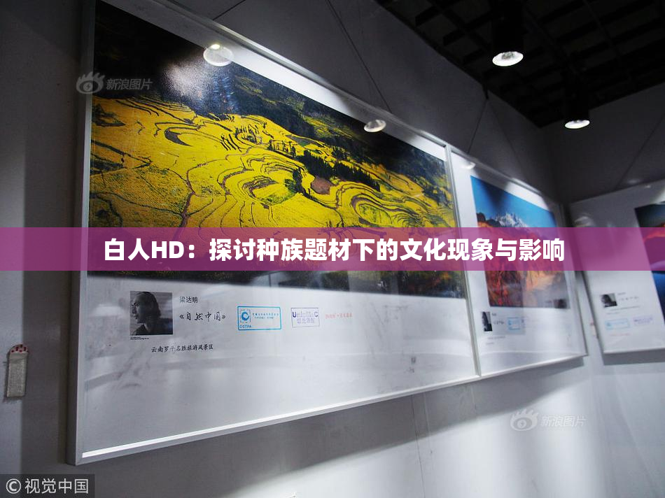 白人HD：探讨种族题材下的文化现象与影响