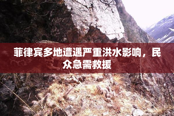 菲律宾多地遭遇严重洪水影响，民众急需救援