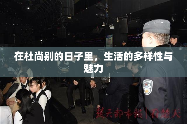 在杜尚别的日子里，生活的多样性与魅力