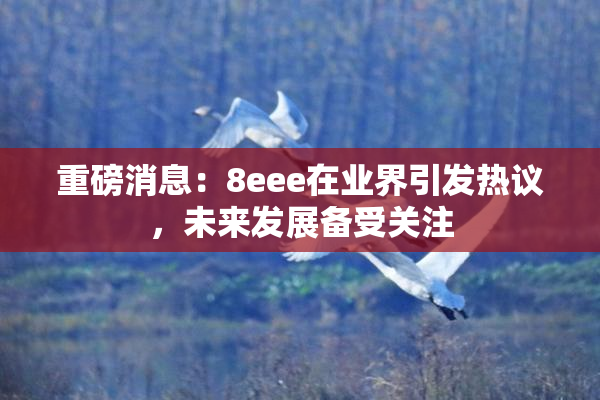 重磅消息：8eee在业界引发热议，未来发展备受关注