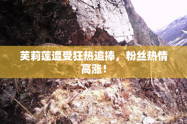 芙莉莲遭受狂热追捧，粉丝热情高涨！