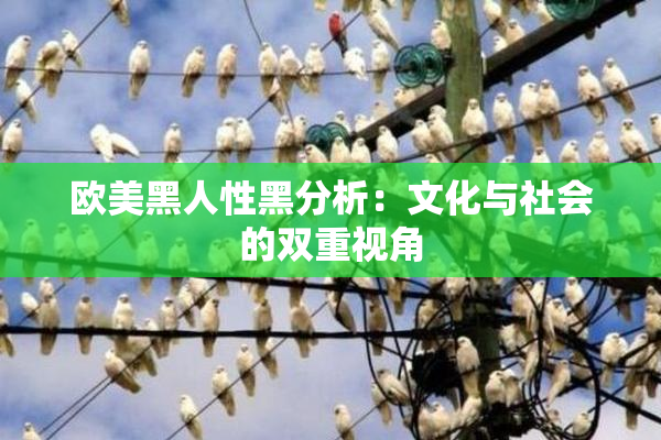 欧美黑人性黑分析：文化与社会的双重视角