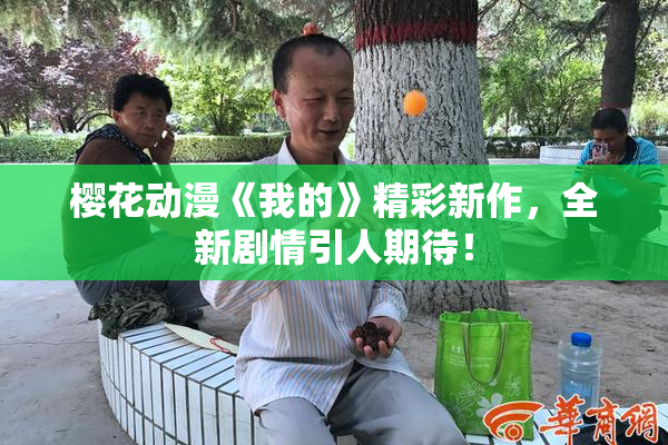 樱花动漫《我的》精彩新作，全新剧情引人期待！