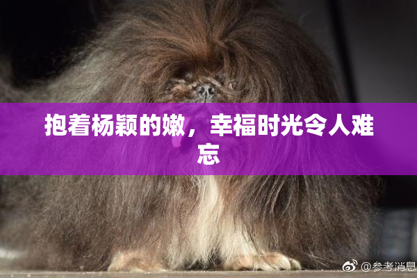 抱着杨颖的嫩，幸福时光令人难忘
