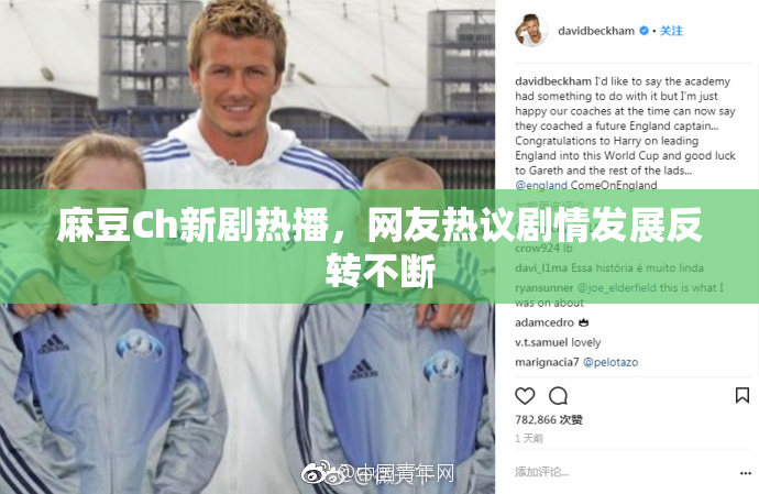 麻豆Ch新剧热播，网友热议剧情发展反转不断