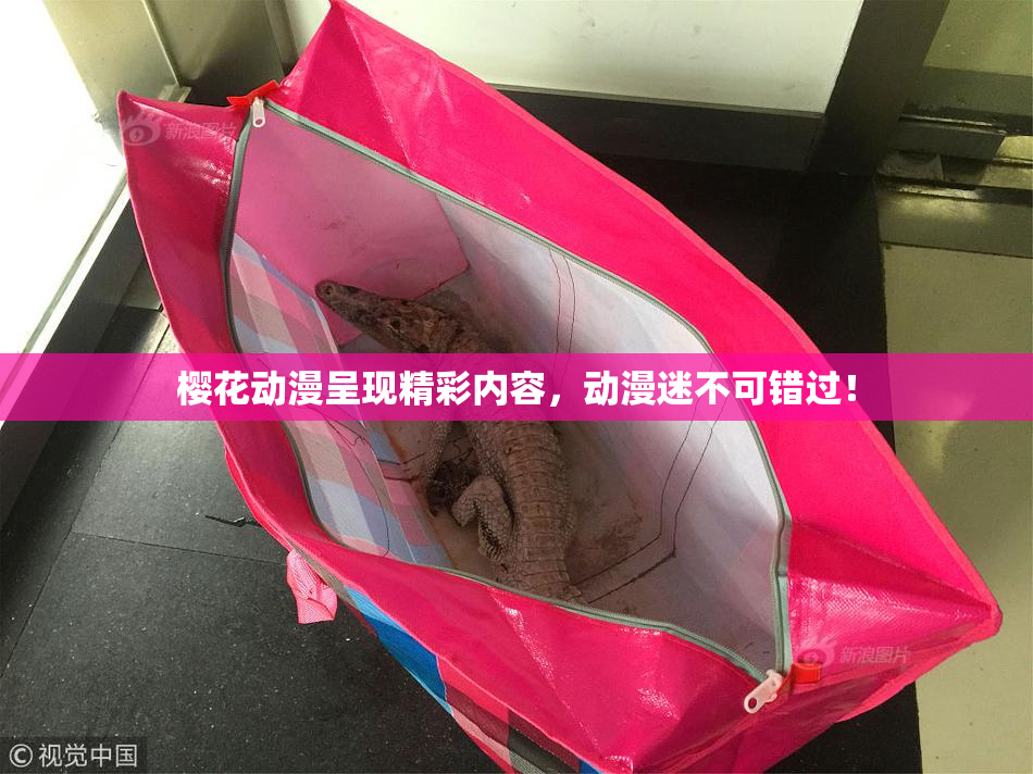 樱花动漫呈现精彩内容，动漫迷不可错过！