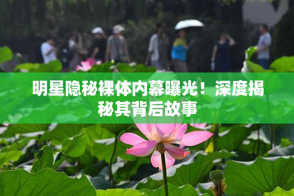 明星隐秘裸体内幕曝光！深度揭秘其背后故事