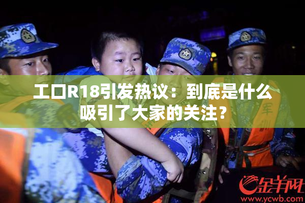 工口R18引发热议：到底是什么吸引了大家的关注？