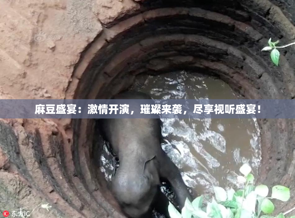 麻豆盛宴：激情开演，璀璨来袭，尽享视听盛宴！