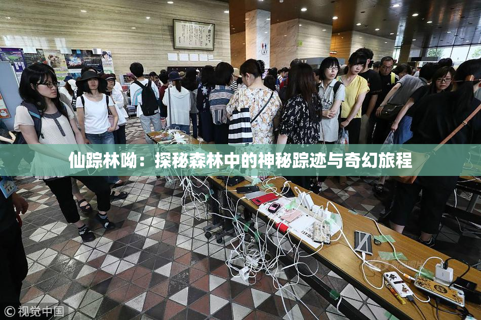 仙踪林呦：探秘森林中的神秘踪迹与奇幻旅程