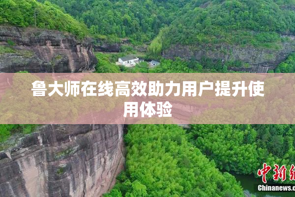 鲁大师在线高效助力用户提升使用体验
