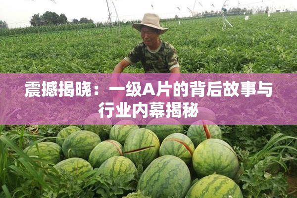 震撼揭晓：一级A片的背后故事与行业内幕揭秘