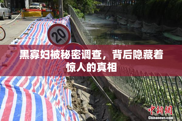 黑寡妇被秘密调查，背后隐藏着惊人的真相