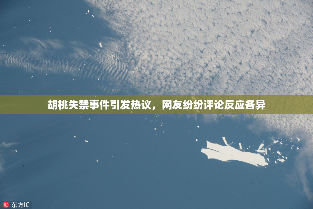 胡桃失禁事件引发热议，网友纷纷评论反应各异