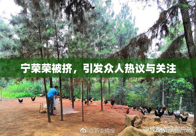 宁荣荣被挤，引发众人热议与关注
