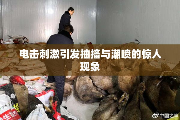 电击刺激引发抽搐与潮喷的惊人现象