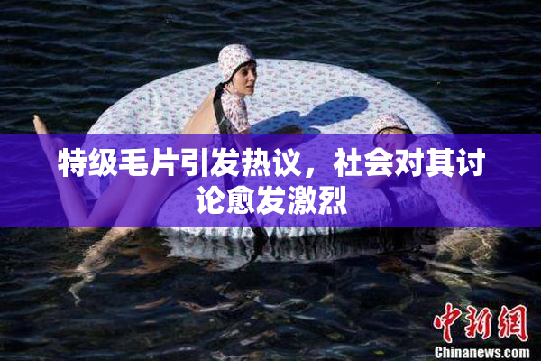 特级毛片引发热议，社会对其讨论愈发激烈