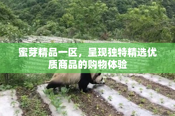 蜜芽精品一区，呈现独特精选优质商品的购物体验
