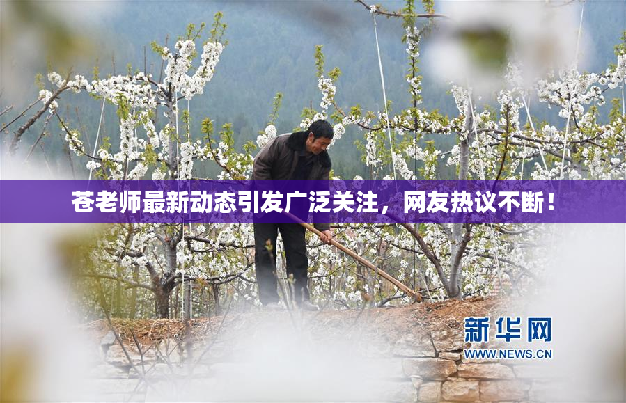 苍老师最新动态引发广泛关注，网友热议不断！