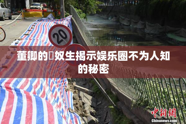 董卿的婬奴生揭示娱乐圈不为人知的秘密